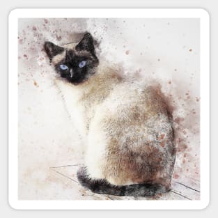 Siamese Cat Lover Graphic Art Paint Splatter Design Snowshoe Pretty Cats Sticker